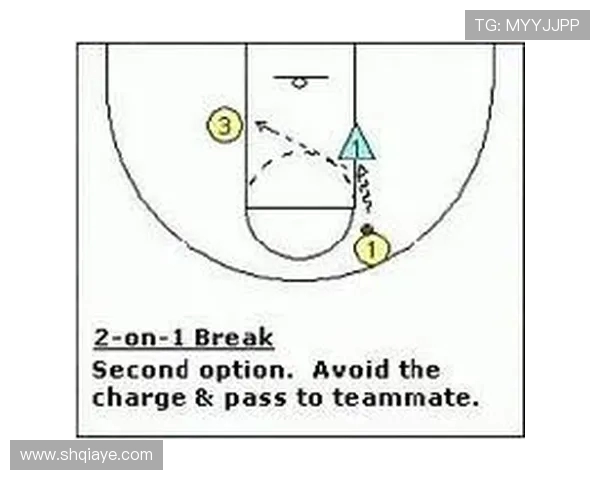 成都排球队快攻战术解析与实战应用探讨